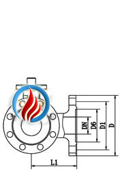 PN4.0-6.3MPa法蘭形式